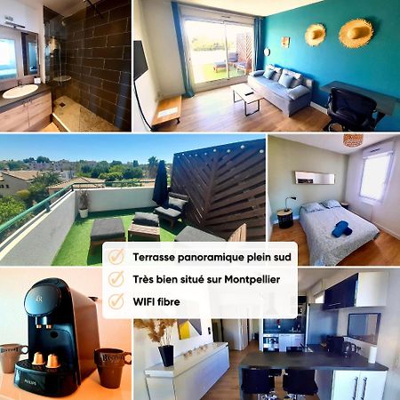 몽펠리에 Terrasse De La Pompignane - T2 Lumineux Plein Sud 아파트 외부 사진